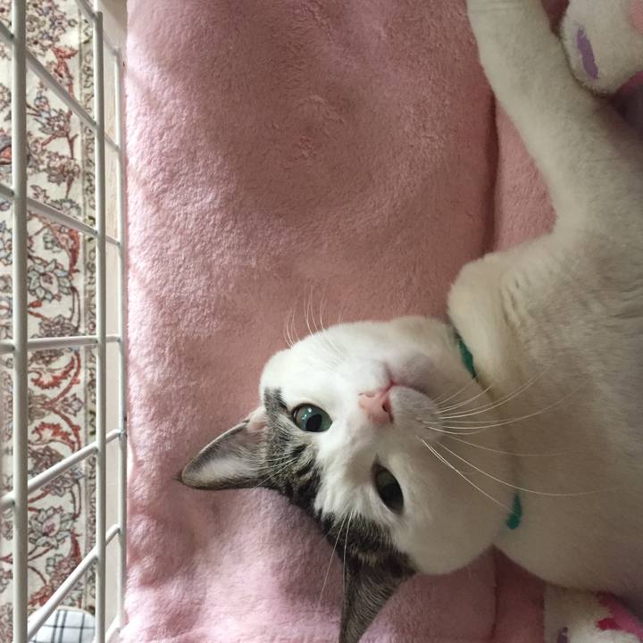 2c73dc9f 45ba 4b7f 8f29 7f03122fe262