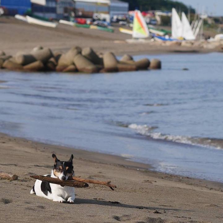 2c7489b3 98df 4fd6 bf6b bc9675e54bad