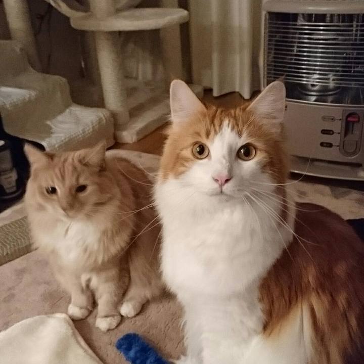 2c756516 1e8e 4741 8a07 e79fbdfa3cf9