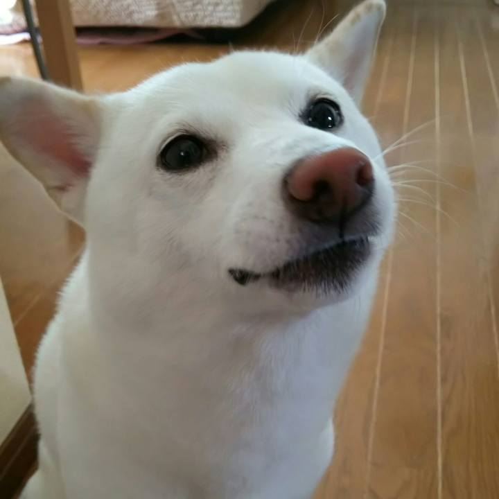 2c75f306 c1cb 4601 b7e8 664455c6bf50