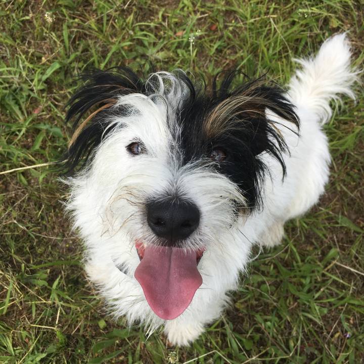 2c76174a 306c 496e bf8d 165cfb7db655