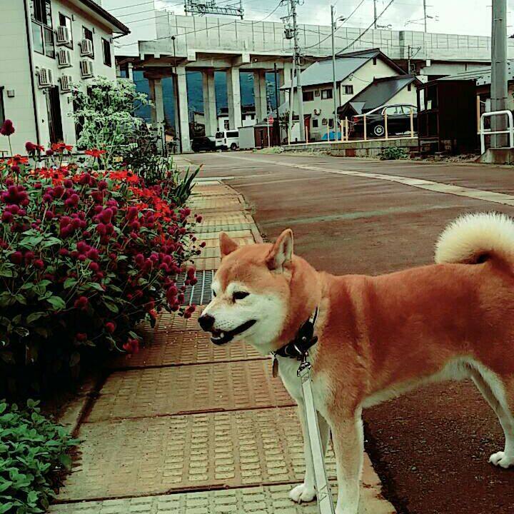 2c7667b8 9291 43c1 84a1 5cc0178125ba