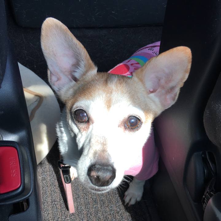 2c767623 d5f7 4e94 8563 5267dd3bcb16