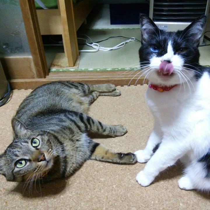 2c76f54a 9787 4ab0 87b9 bccd812ae877