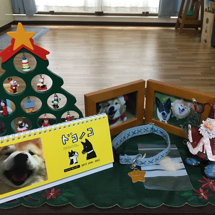 2c77302f bbaf 4440 a23b 897a0e27d671