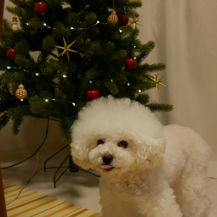 2c77b1d5 9a8f 460d 86c0 05d45a3b5d90