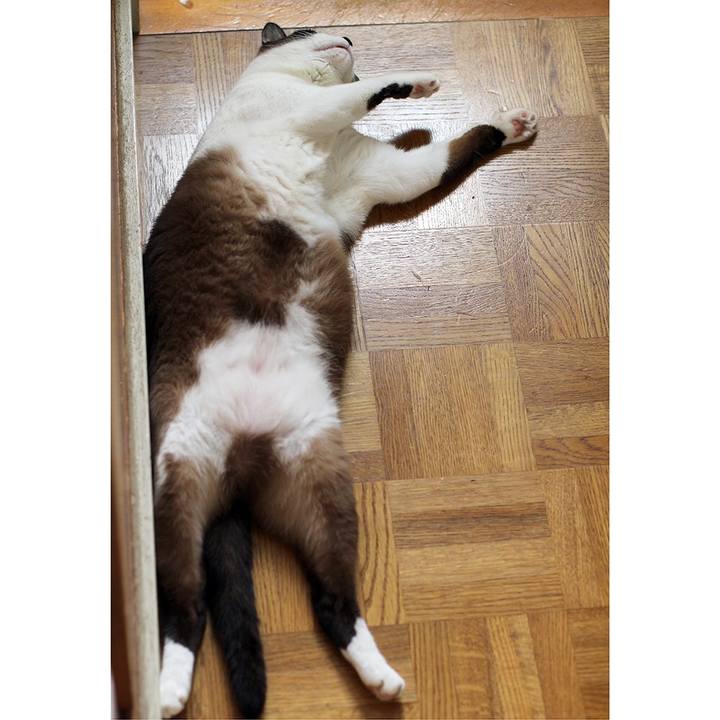 2c77df11 d62c 4dd2 9842 e04d1a69d6a8