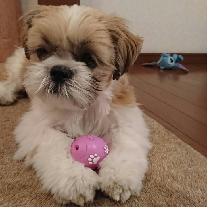 2c7812ee a1cb 41df 93c0 8deb8c2743a5