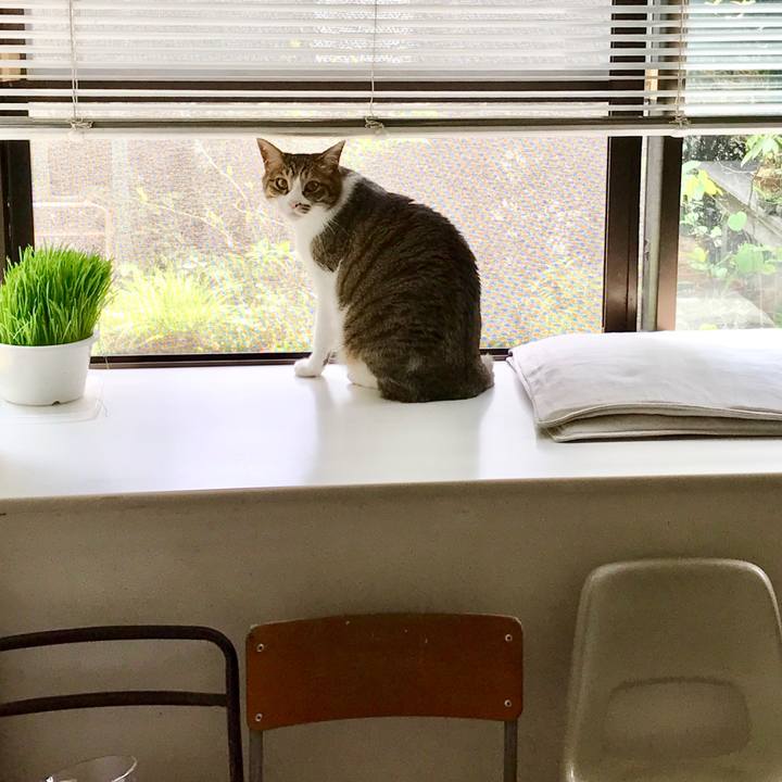 2c798e81 3333 4e42 b560 31f126174aa0