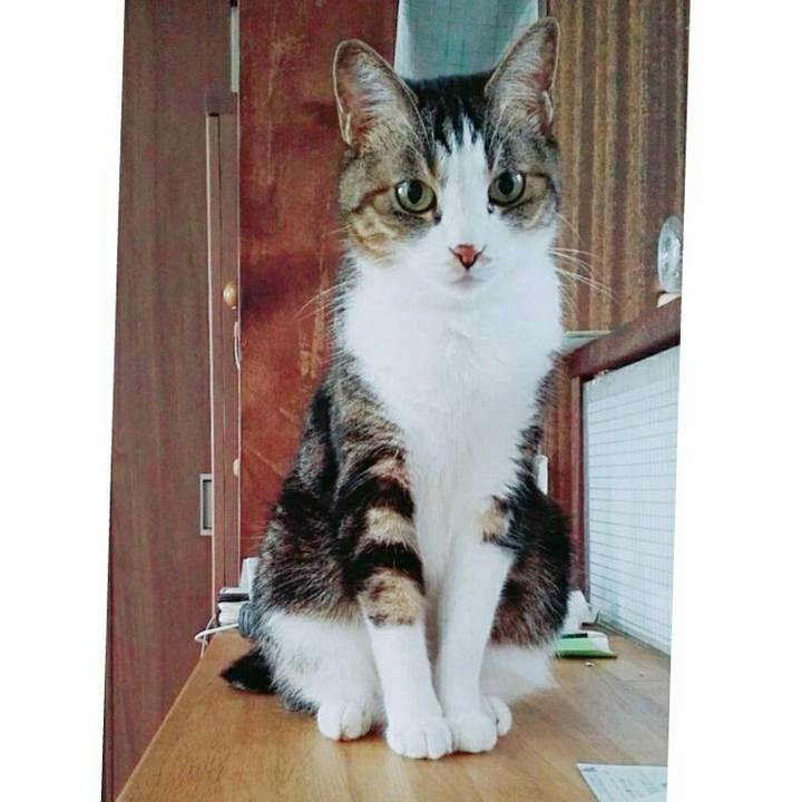 2c79a7d1 8bd0 4b47 bd01 a1872a0afa1d