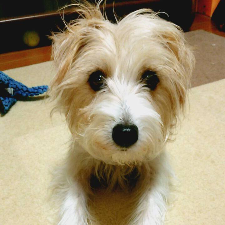 2c79e114 355b 457b 888b b6e564238fce