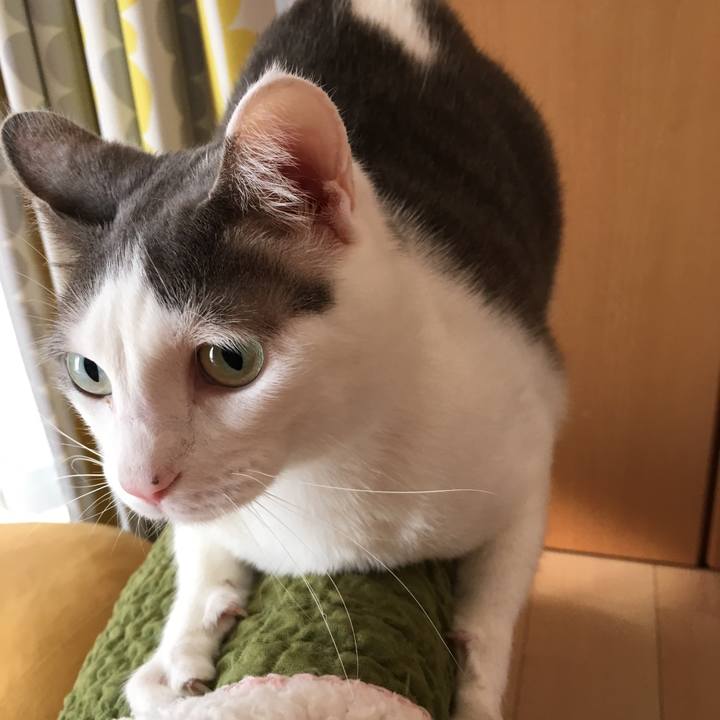 2c7a66b9 18d3 4864 9dbf 3be90882b34a