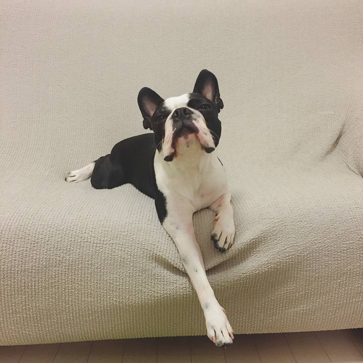 2c7b09e9 2d95 4f7c 9b87 85eb97a6c3a5