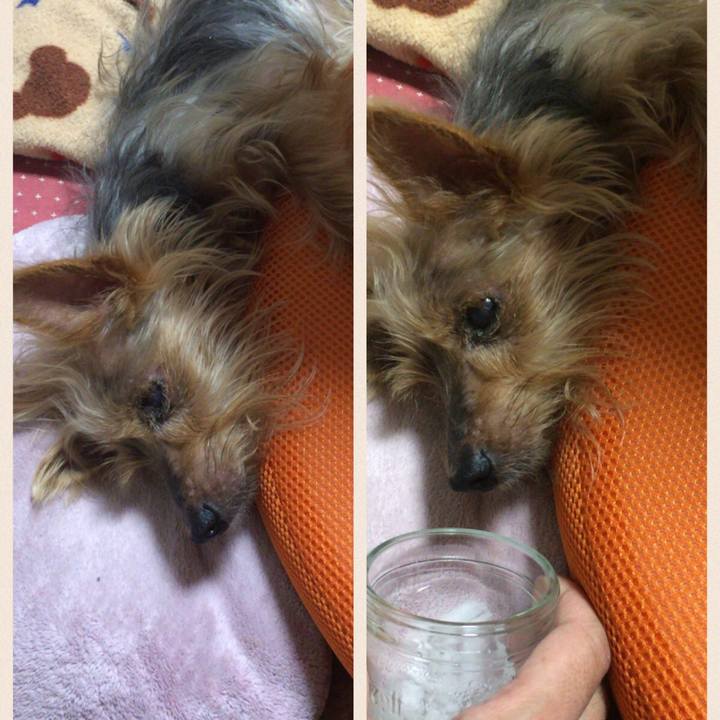 2c7b1ed0 263b 46f8 9f8d ccdea4c7a8b6