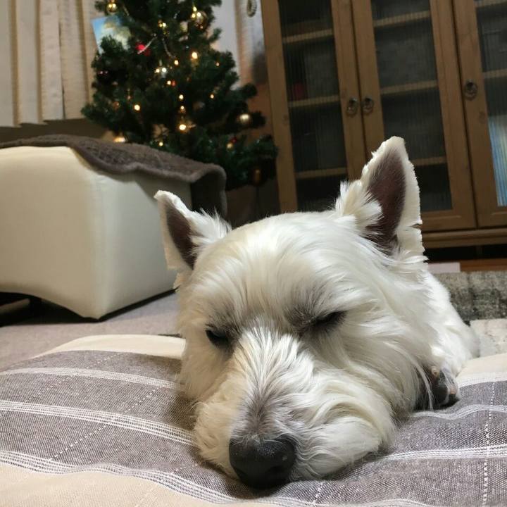 2c7c9aa4 5b50 4e26 9a67 c96f115b03b7