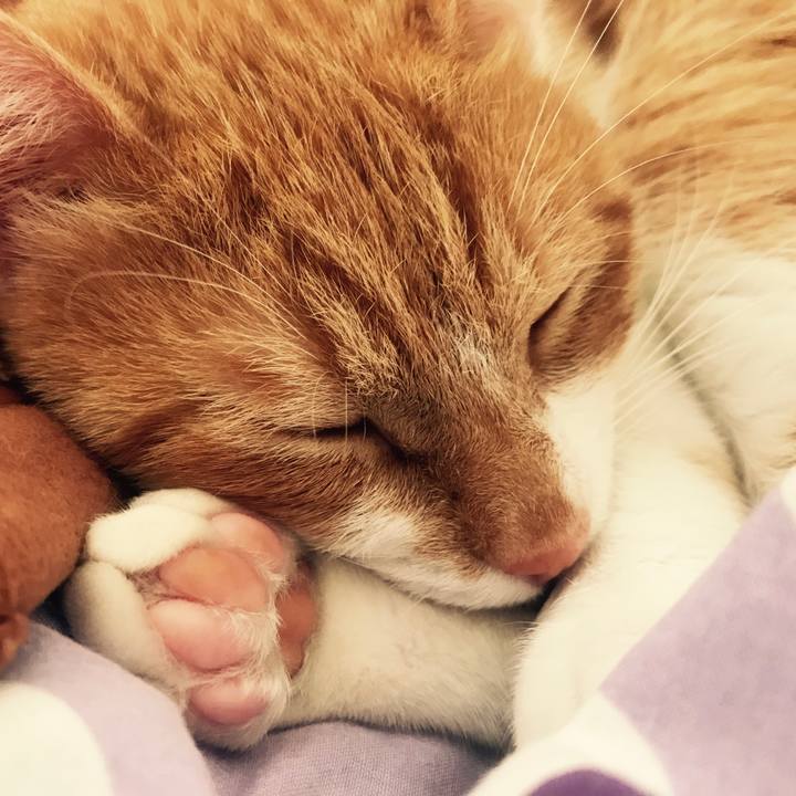 2c7cbfef 9b41 483a 8385 26c5e32389fb