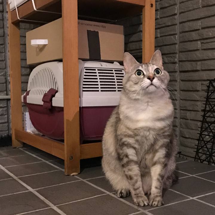 2c7d1531 c6f0 4b7f 9253 6023cd80d638