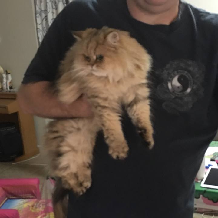 2c7d3366 b92e 4b31 bce5 83b266ede34c