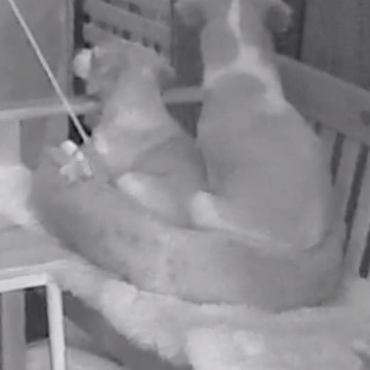 2c7d4d8c b545 46bf 8d5f 3653328c0f8a