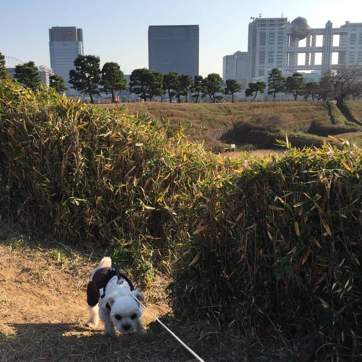 2c7e1a54 dd54 4b43 a6fc a17af594db3b