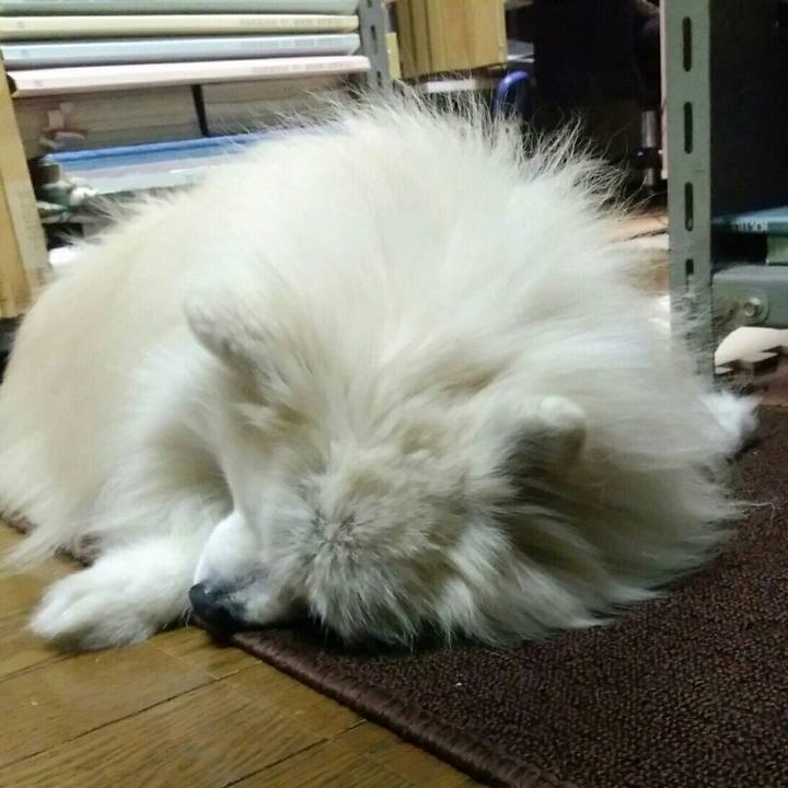 2c7ef07a d41a 4375 9815 ecd3d4f866cf