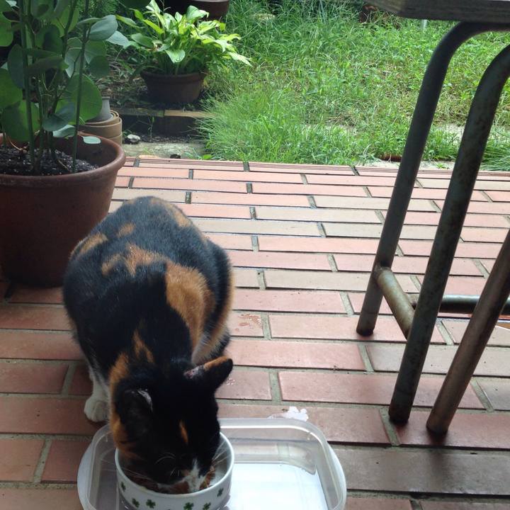 2c7f0a13 7e04 452e b571 601350a37d93