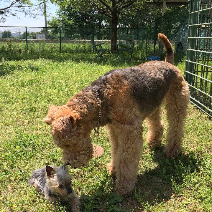 2c7f1dad cec1 407b a111 3c4a3bb53e58