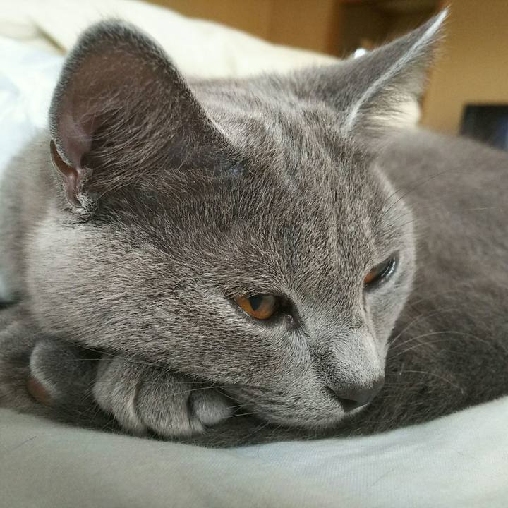 2c7f7910 3087 409b 8c2f 72621b2c8025