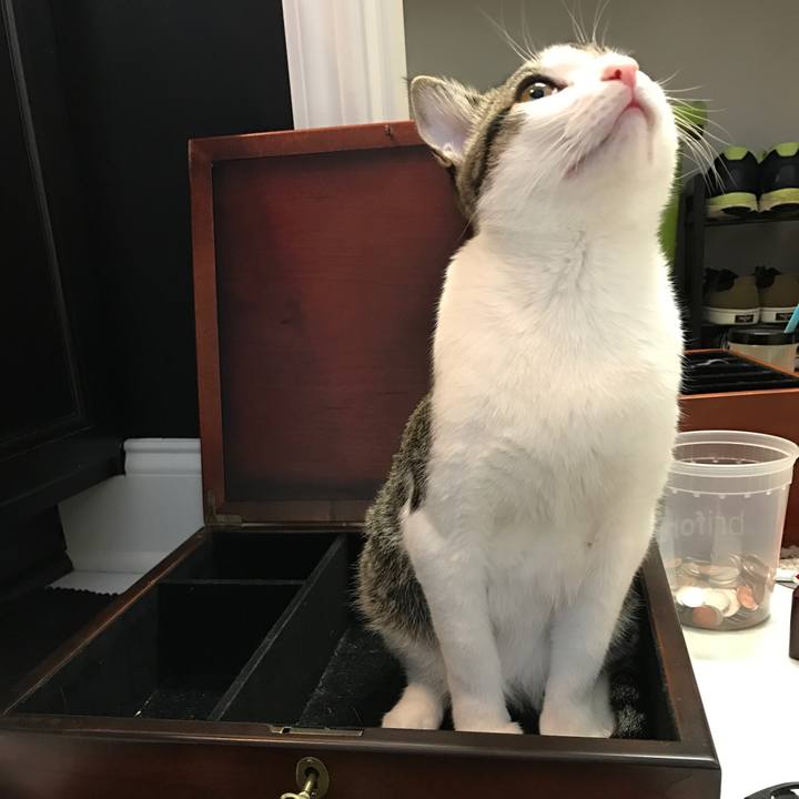 2c7f8b7a f481 4b1a ac81 14914e0a5f0b