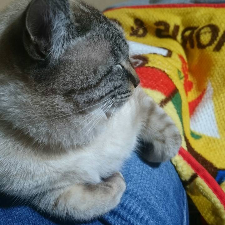 2c805a06 5ba4 4186 82a7 e4e8503a12e8