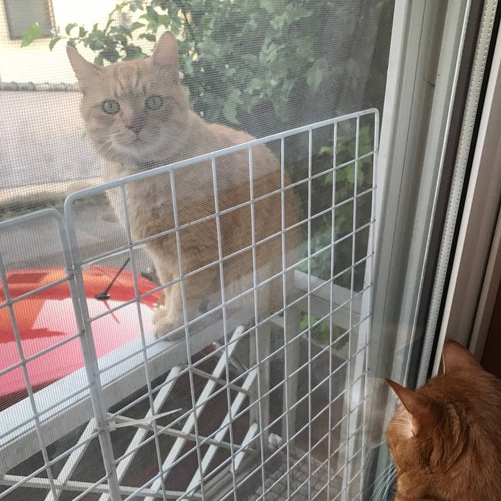 2c811758 5f34 487e bfd0 d621cd34b583