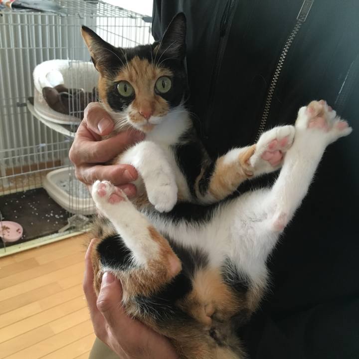 2c81332c 46bb 423c 903d bb115880c609