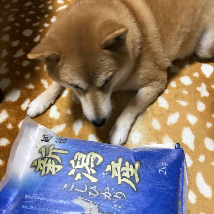 2c81ee23 3141 4aa5 b8dd e2910de51522