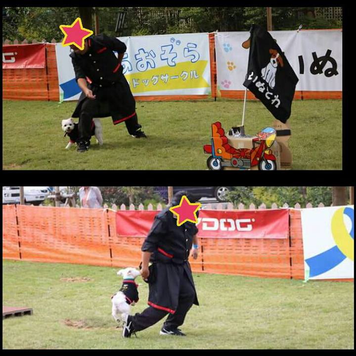 2c82533e 3e74 481a a2b8 a160b828c586