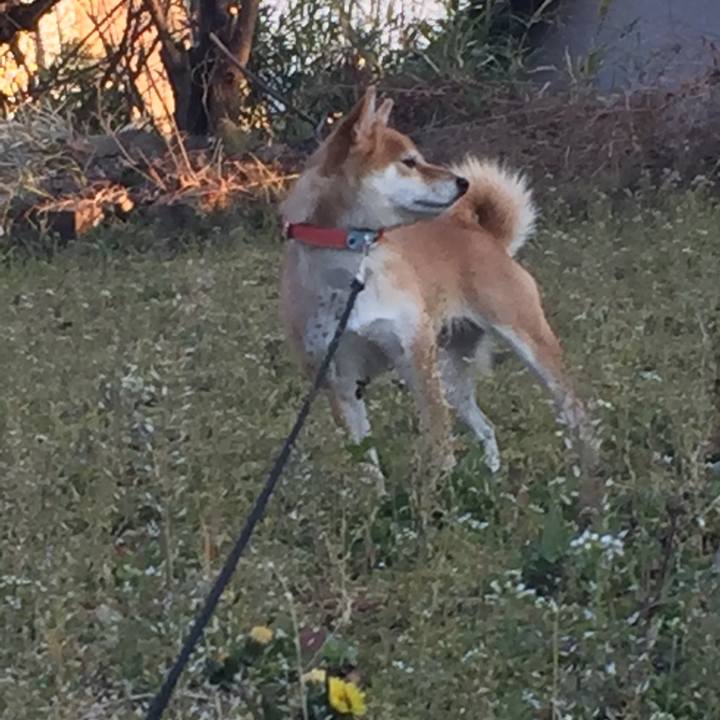 2c827468 14e2 4995 a508 11f8b9d3f170