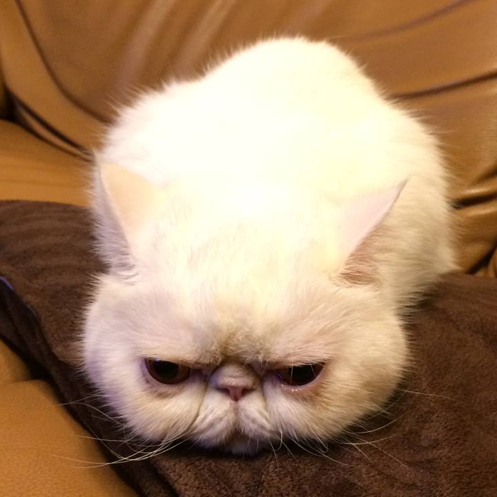 2c829484 86fe 4fec a063 9502bb7496d6