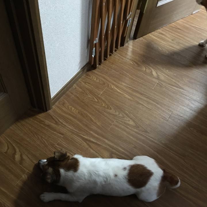 2c82c326 7a2f 4463 b729 bc3b682c8a24