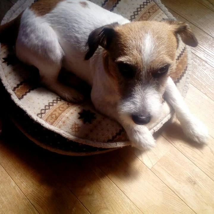 2c82dbaf d1c8 4085 b8f2 31519d12b9a6