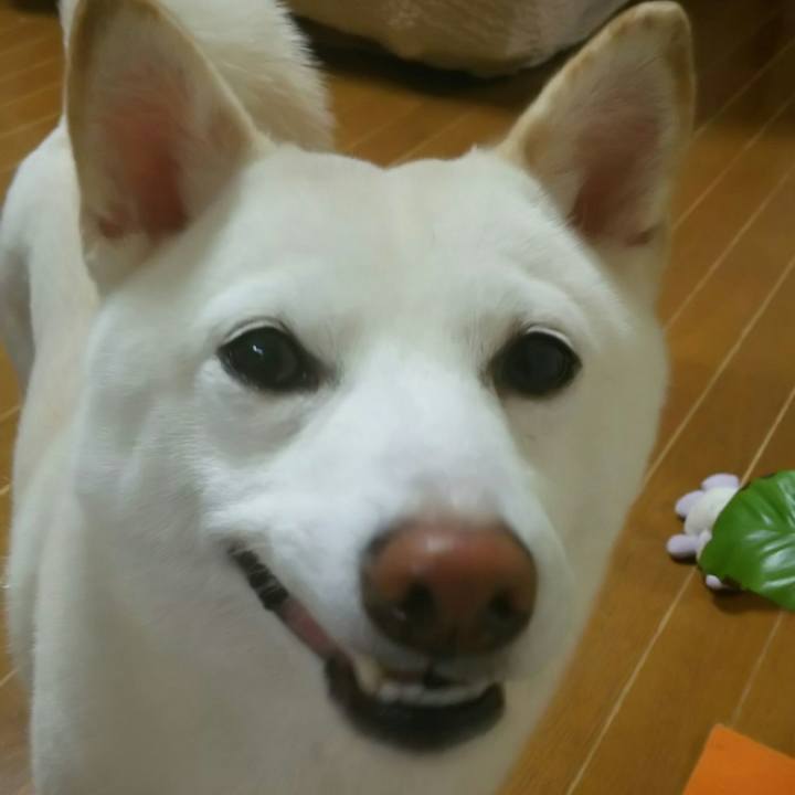 2c82f6ef ffaa 4106 85f6 879f49dbd2cd