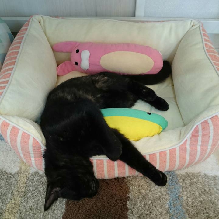 2c8431fc e3d0 4f85 9baf 8a8fa3d81265