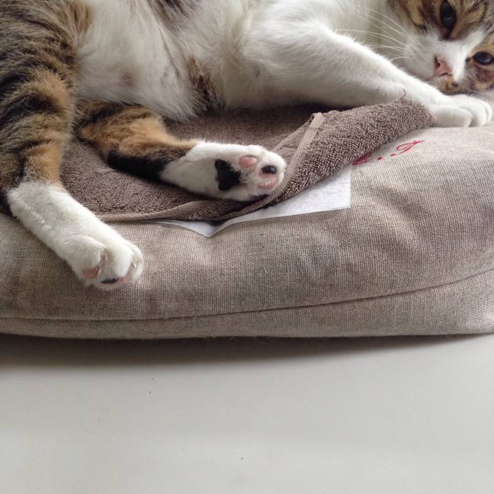 2c846c69 927f 4935 994c 2d2f4d557d64