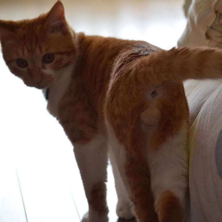 2c846e2e 2708 4f48 a9a3 073b1ec461d4