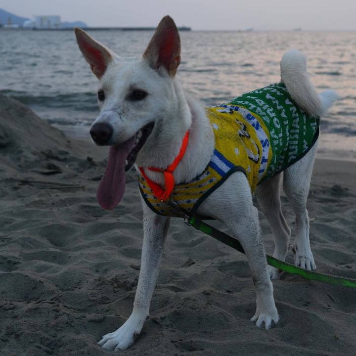 2c847567 7228 41d1 b6b7 a955a1f9f20a