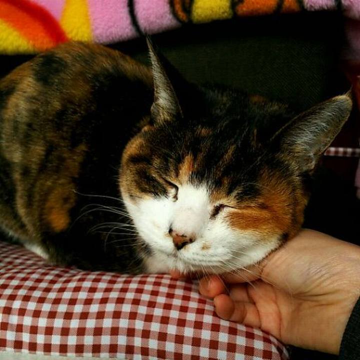 2c849a21 e483 435b a754 2156988c1d29