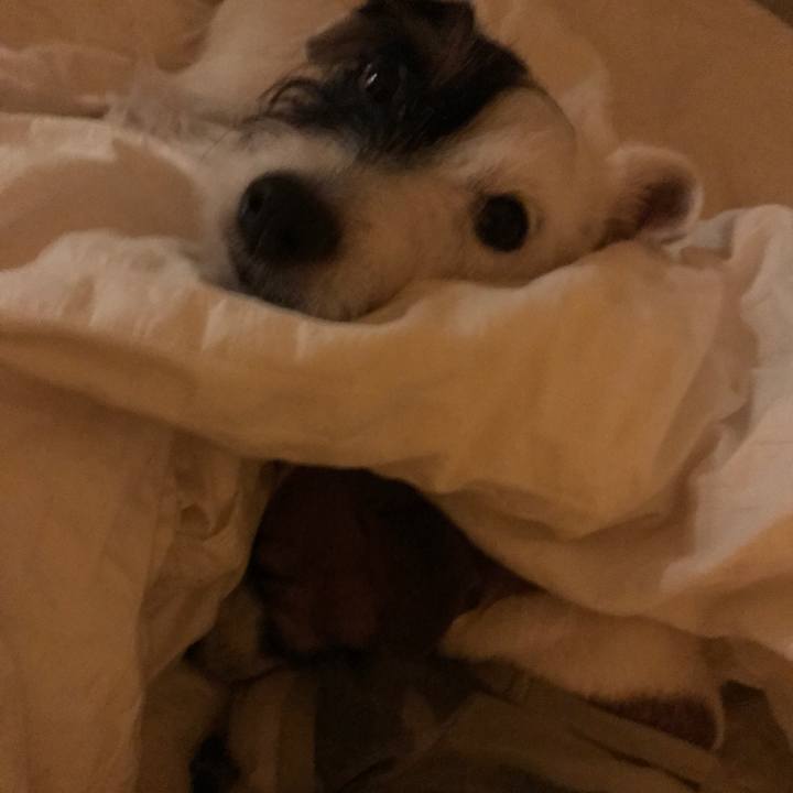 2c8545bf 9c2b 4244 9825 6326c5685d92