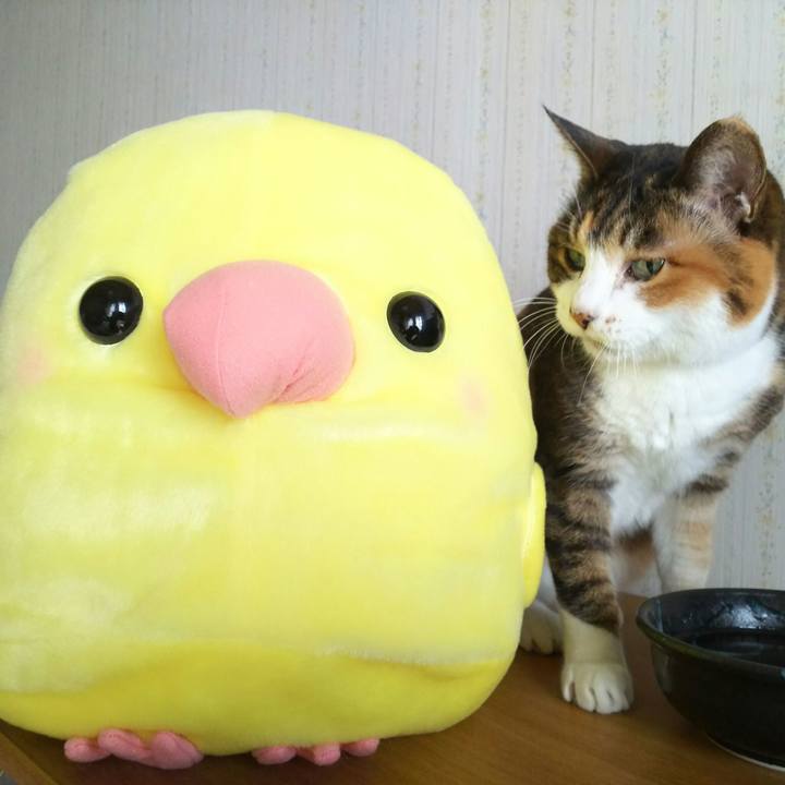 2c856261 feb2 413a b905 4229f10e7e83