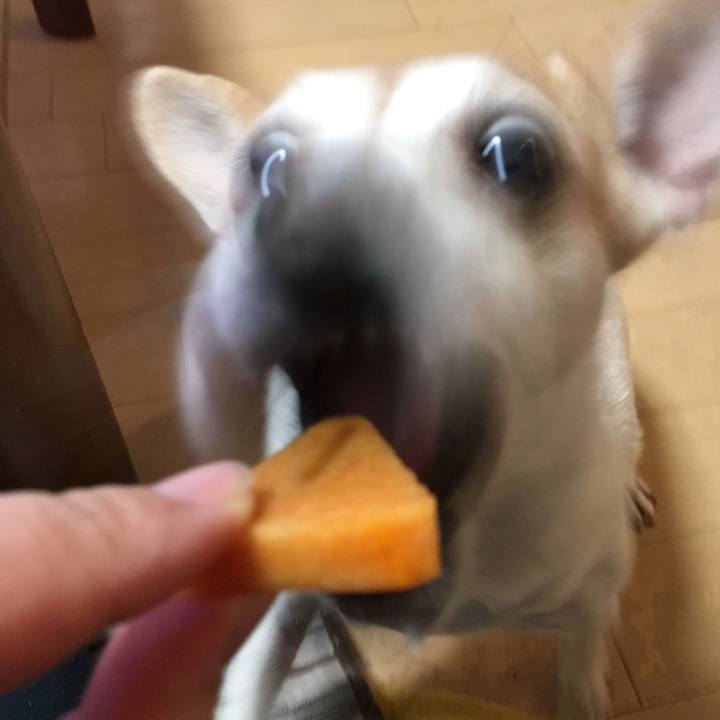 2c85ba84 4791 4973 975f 20d35e395844