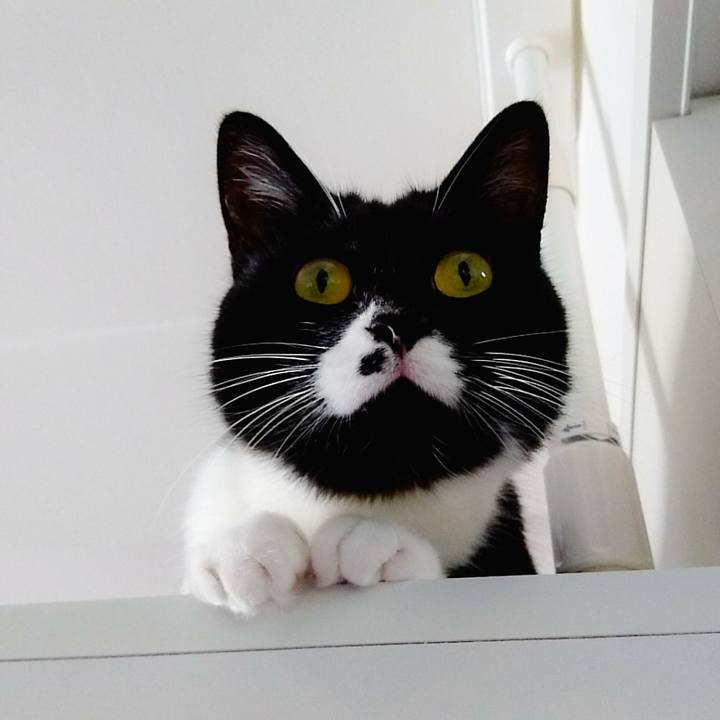 2c85bc03 bf1e 4d73 8367 feed3ca913f7