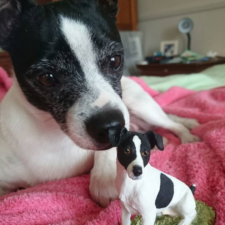 2c85ccd9 a938 43d2 932b 73f15bcb6a20