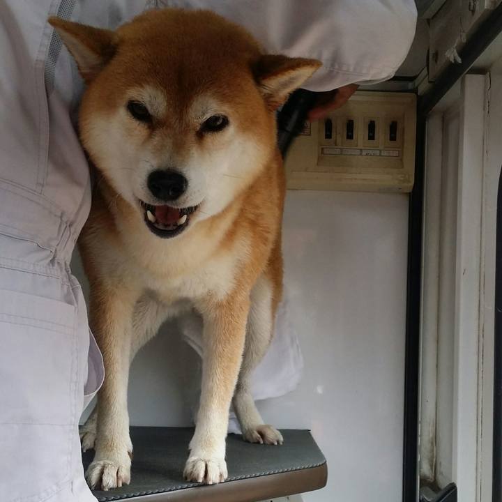 2c85cde4 a9d5 4c2d a3b0 758718369117